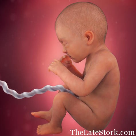 pregnancy-week-32-fingernails_square