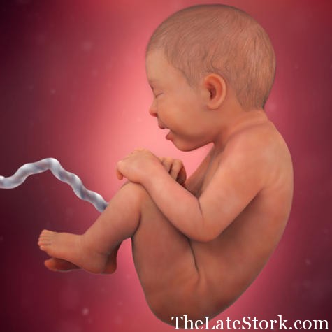 pregnancy-week-36-vernix-caseosa_square